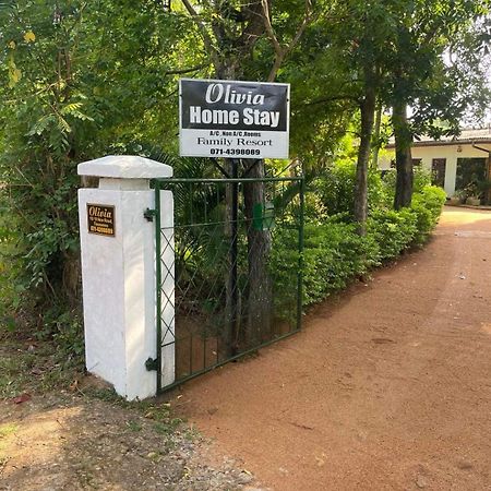 Olivia Homestay أنرادابورام المظهر الخارجي الصورة