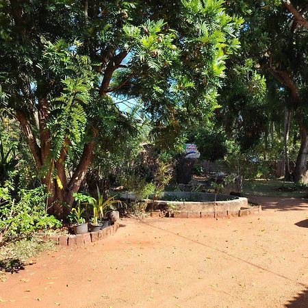 Olivia Homestay أنرادابورام المظهر الخارجي الصورة