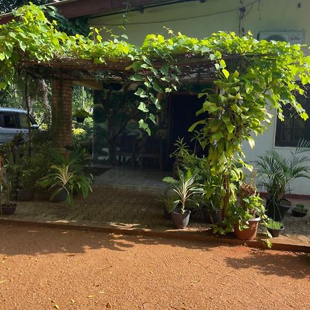 Olivia Homestay أنرادابورام المظهر الخارجي الصورة