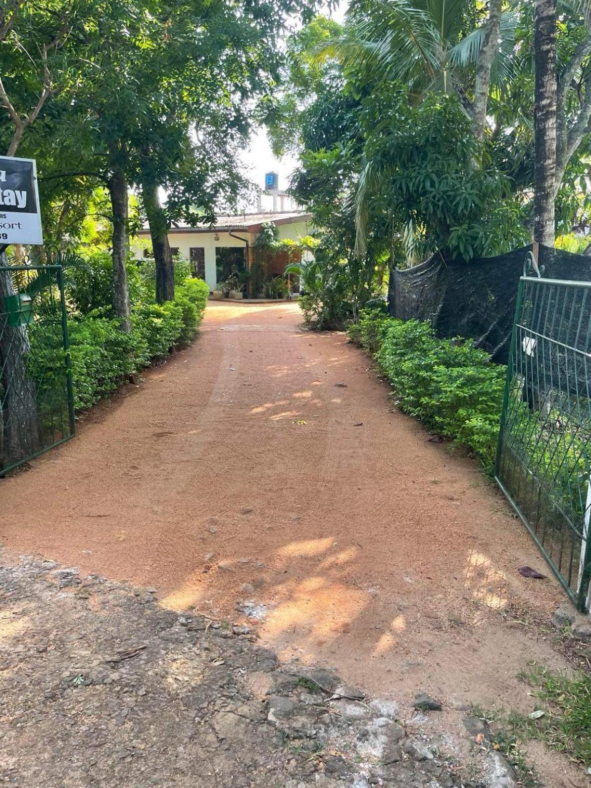 Olivia Homestay أنرادابورام المظهر الخارجي الصورة