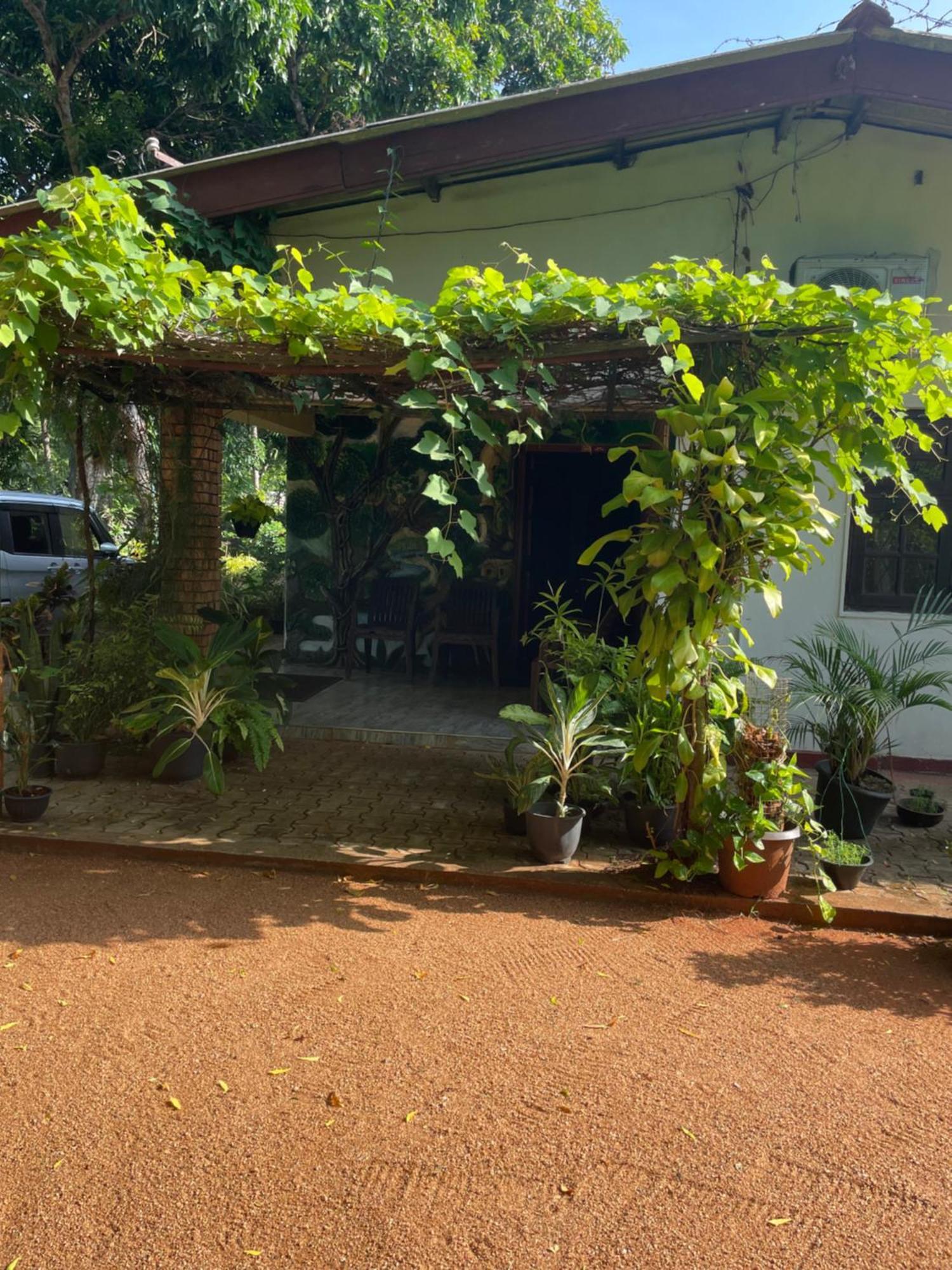 Olivia Homestay أنرادابورام المظهر الخارجي الصورة